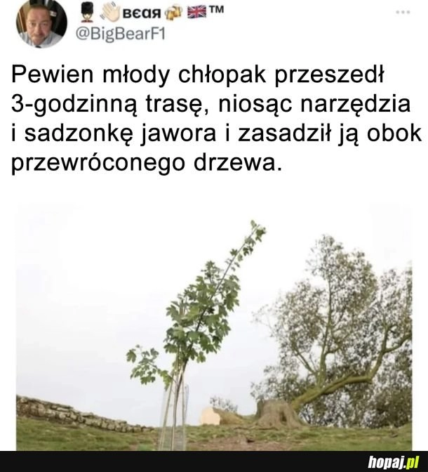 
    Dobry człowiek