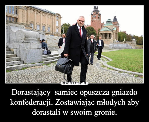 
    Dorastający  samiec opuszcza gniazdo konfederacji. Zostawiając młodych aby dorastali w swoim gronie.