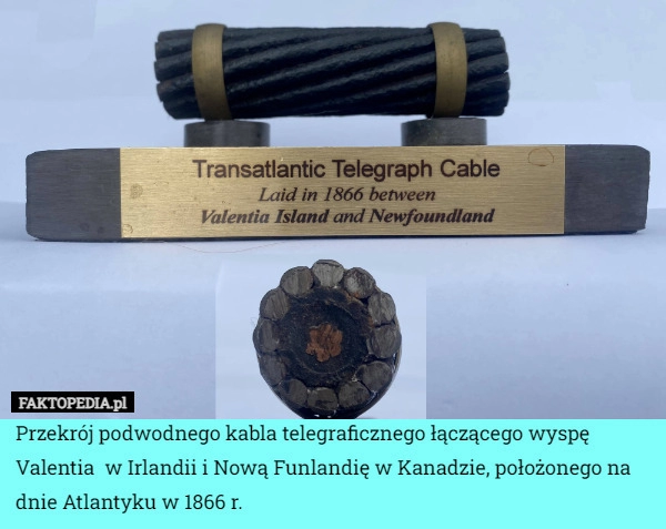 
    Przekrój podwodnego kabla telegraficznego łączącego wyspę Valentia  w Irlandii