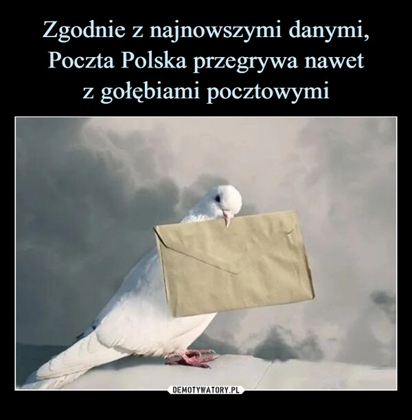 
    Zgodnie z najnowszymi danymi, Poczta Polska przegrywa nawet
z gołębiami pocztowymi