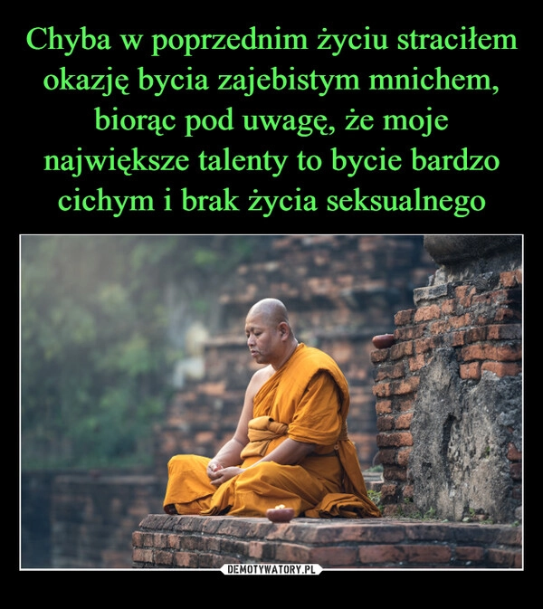 
    Chyba w poprzednim życiu straciłem okazję bycia zajebistym mnichem, biorąc pod uwagę, że moje największe talenty to bycie bardzo cichym i brak życia seksualnego