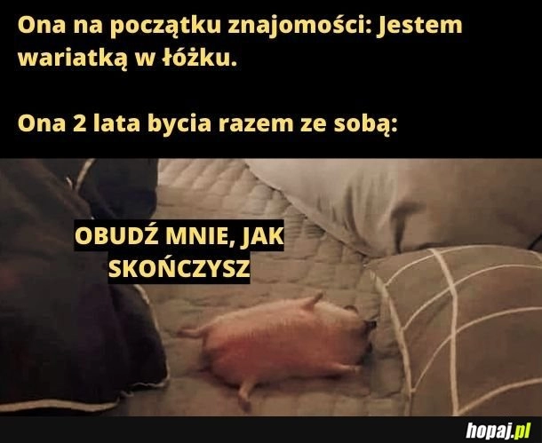 
    O jeżu. 