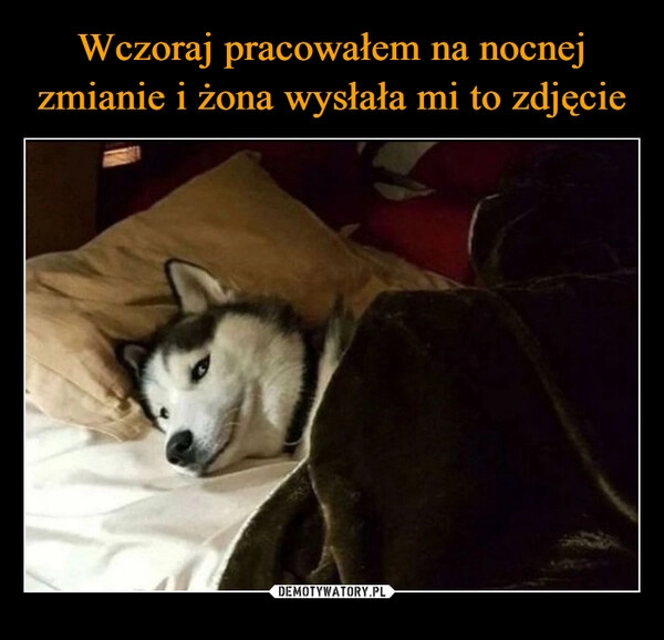 
    Wczoraj pracowałem na nocnej zmianie i żona wysłała mi to zdjęcie