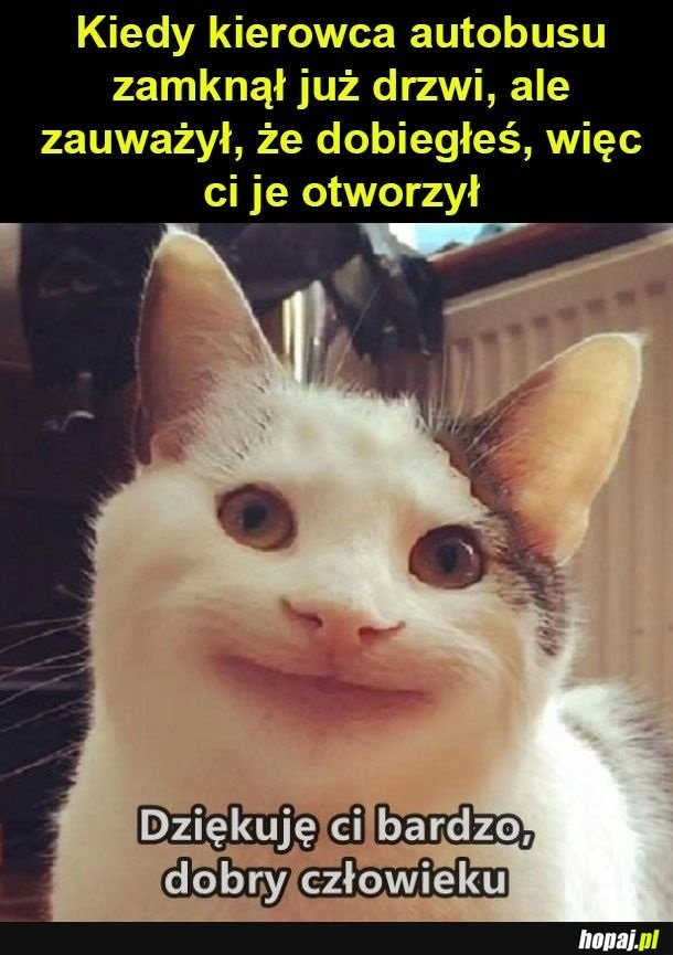 
    Dobry ziomek kierowca