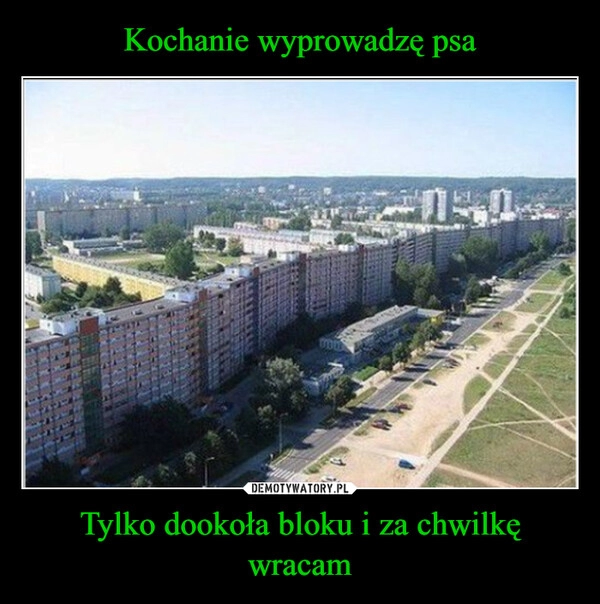 
    Kochanie wyprowadzę psa Tylko dookoła bloku i za chwilkę wracam