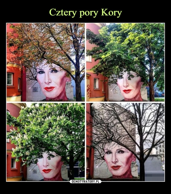 
    Cztery pory Kory