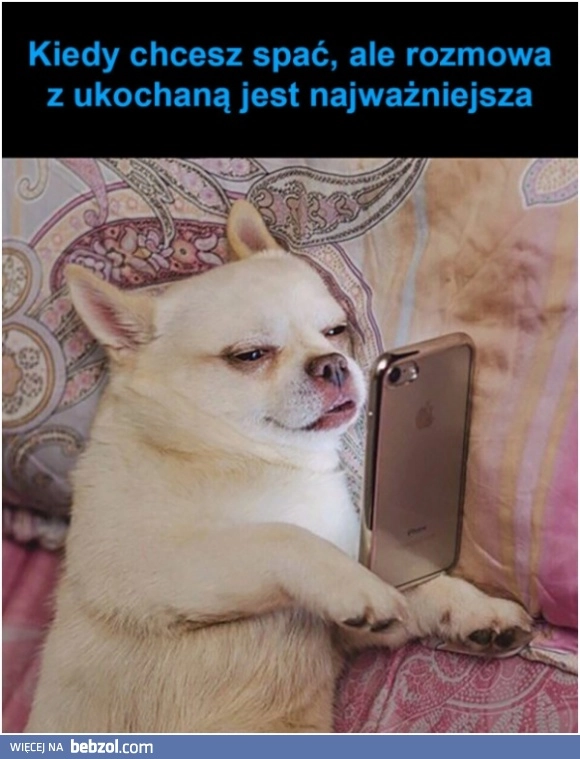 
    Taka sytuacja