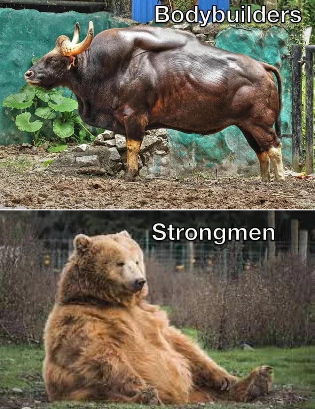 
    Bodybuilders vs Strongmen