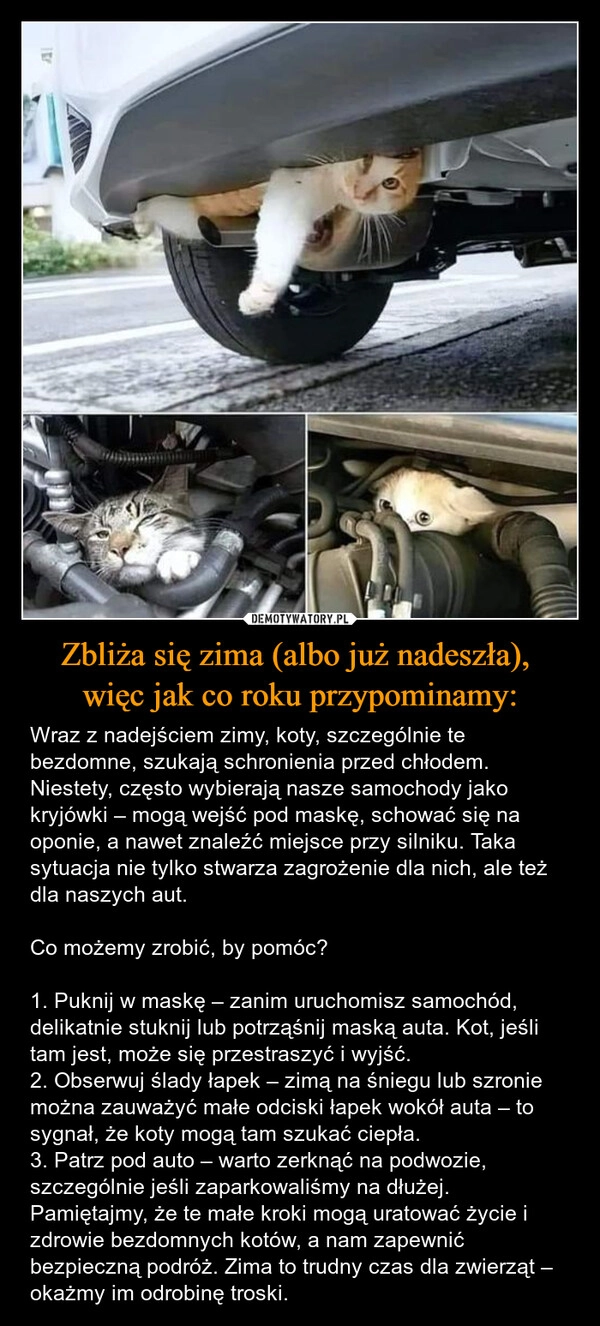 
    Zbliża się zima (albo już nadeszła), 
więc jak co roku przypominamy: