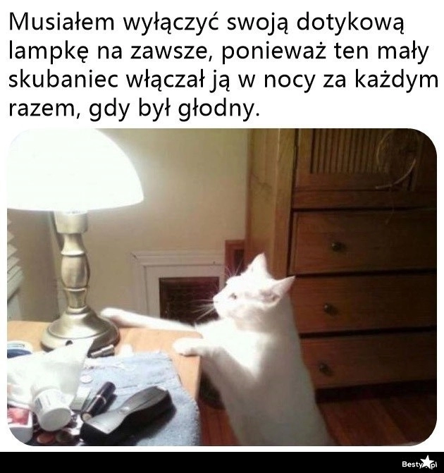 
    Znalazł sposób 