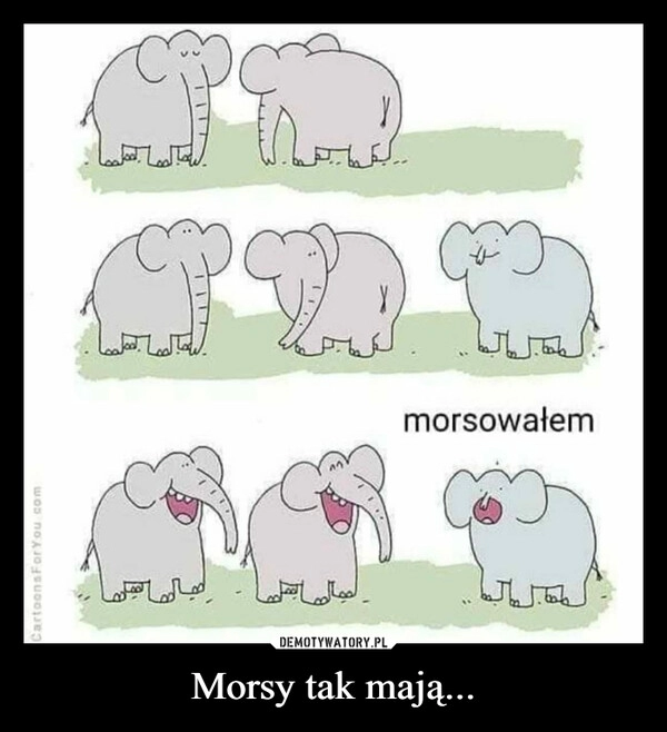 
    Morsy tak mają...