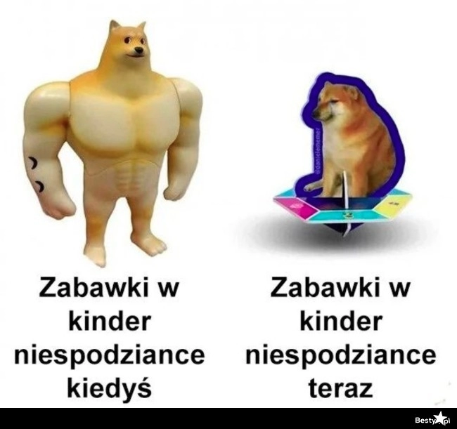 
    Zabawki w kinder niespodziance 