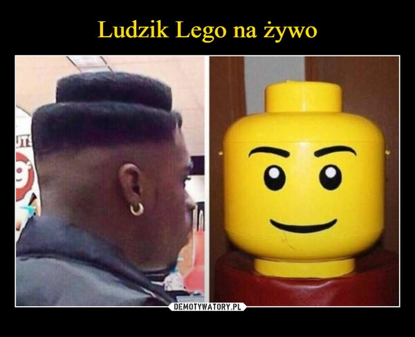 
    Ludzik Lego na żywo