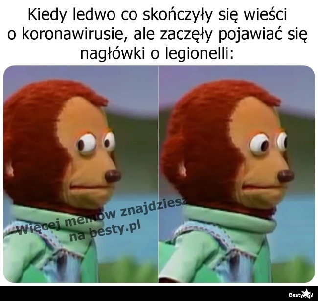 
    Chwila niepokoju 