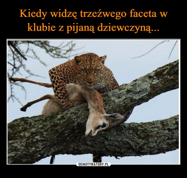 
    Kiedy widzę trzeźwego faceta w klubie z pijaną dziewczyną...