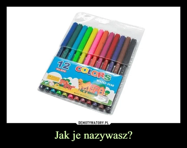 
    Jak je nazywasz?