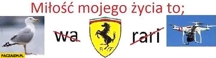 
    Miłość mojego życia to mefedron rebus