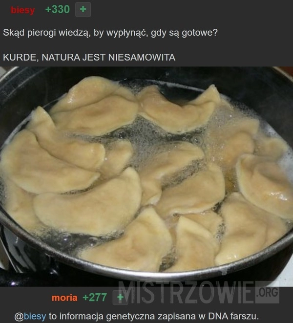 
    
			Pierogi					