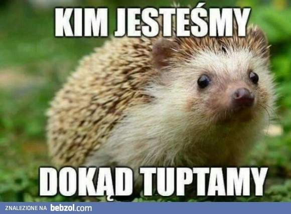 
    Kim jesteśmy, dokąd tuptamy