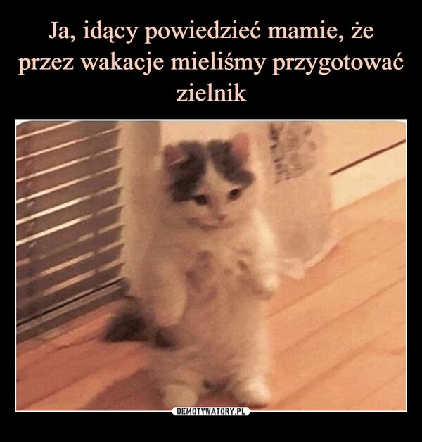 
    Ja, idący powiedzieć mamie, że przez wakacje mieliśmy przygotować zielnik