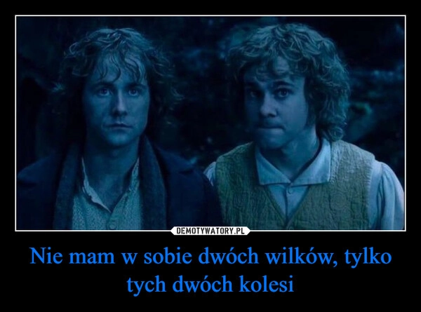 
    Nie mam w sobie dwóch wilków, tylko tych dwóch kolesi