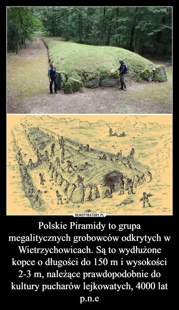 
    Polskie Piramidy to grupa megalitycznych grobowców odkrytych w Wietrzychowicach. Są to wydłużone kopce o długości do 150 m i wysokości 2-3 m, należące prawdopodobnie do kultury pucharów lejkowatych, 4000 lat p.n.e