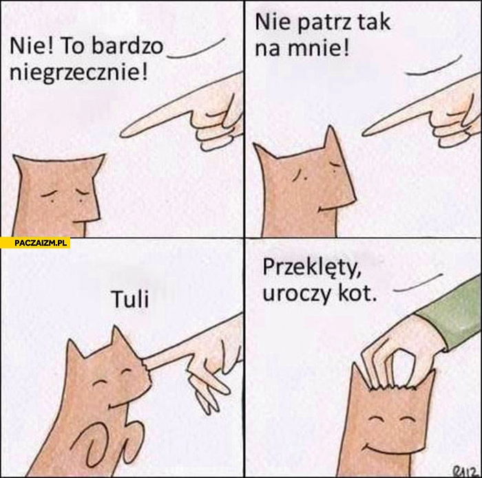 
    Przeklęty uroczy kot