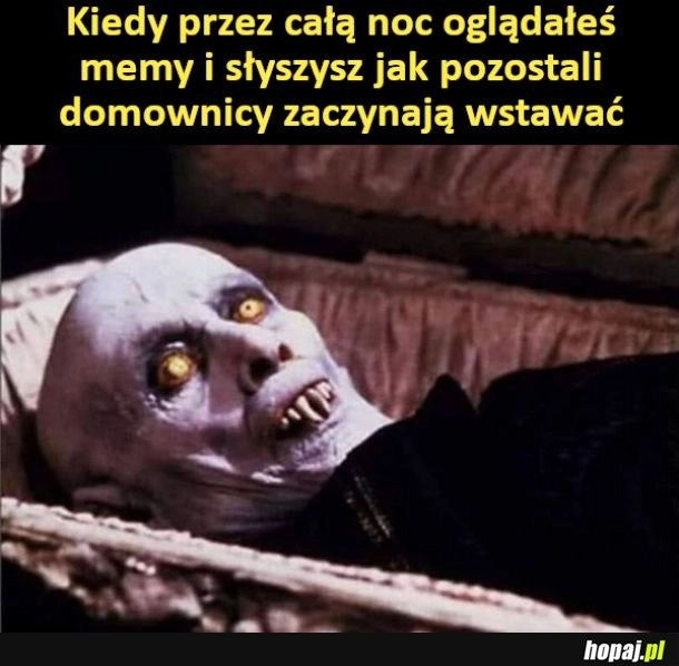 
    Przeglądanie memów w nocy