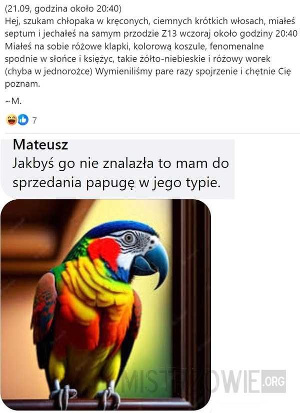 
    Chłopak