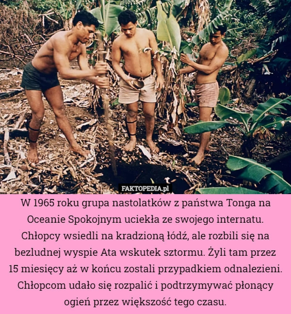 
    W 1965 roku grupa nastolatków z państwa Tonga na Oceanie Spokojnym uciekła