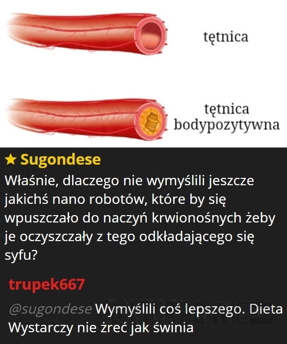 
    Tętnica