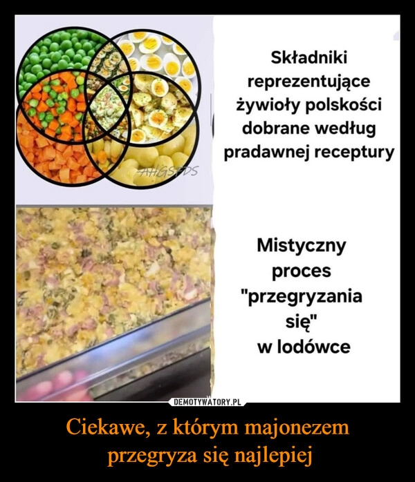 
    Ciekawe, z którym majonezem
 przegryza się najlepiej