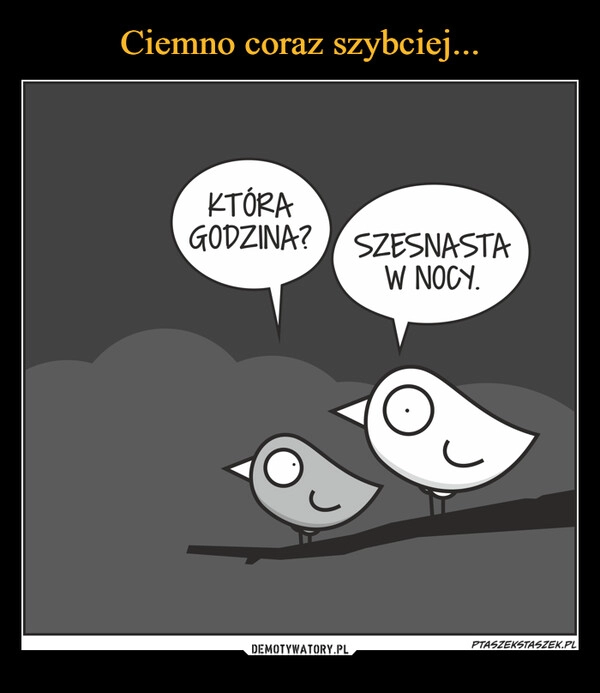 
    
Ciemno coraz szybciej... 