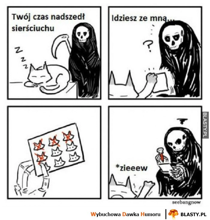 
    Twój czas nadszedł