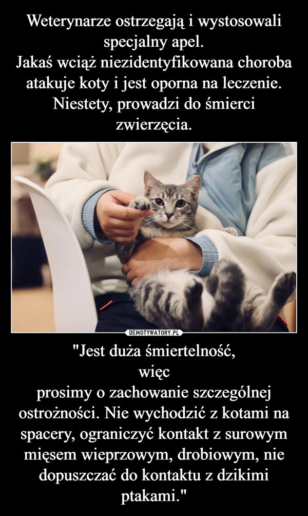 
    Weterynarze ostrzegają i wystosowali specjalny apel.
Jakaś wciąż niezidentyfikowana choroba atakuje koty i jest oporna na leczenie. Niestety, prowadzi do śmierci zwierzęcia. "Jest duża śmiertelność,
więc
prosimy o zachowanie szczególnej ostrożności. Nie wychodzić z kotami na spacery, ograniczyć kontakt z surowym mięsem wieprzowym, drobiowym, nie dopuszczać do kontaktu z dzikimi ptakami."