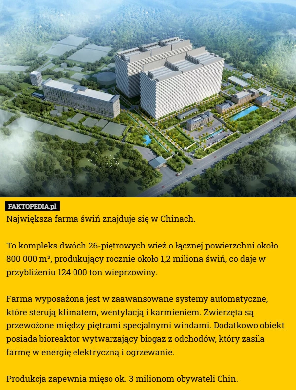 
    Największa farma świń znajduje się w Chinach.

To kompleks dwóch 26-piętrowych