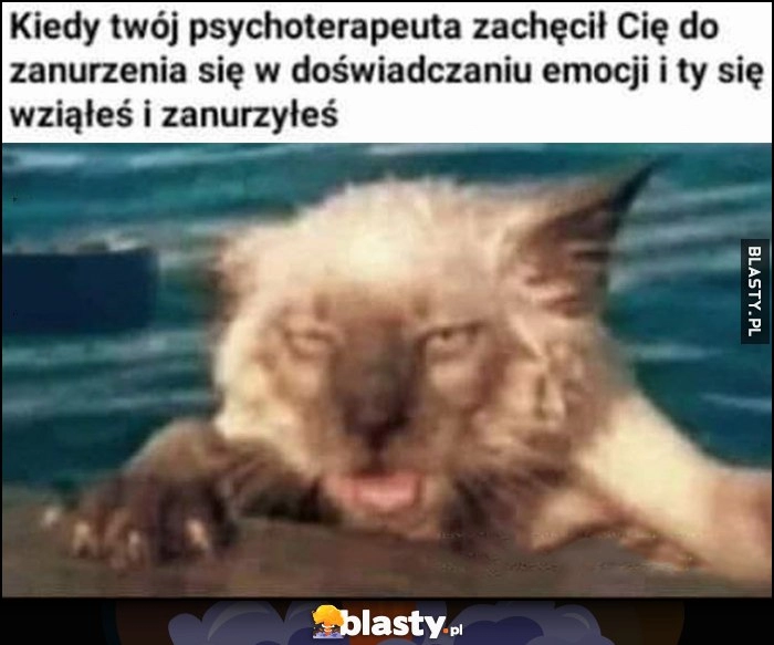 
    Kiedy twój psychoterapeuta zachęcił cię do zanurzenia się w doświadczaniu emocji i ty się wziąłeś i zanurzyłeś prawie utonął