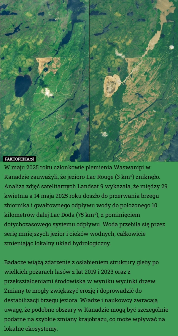 
    W maju 2025 roku członkowie plemienia Waswanipi w Kanadzie zauważyli, że