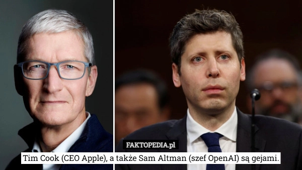 
    Tim Cook (CEO Apple), a także Sam Altman (szef OpenAI) są gejami.