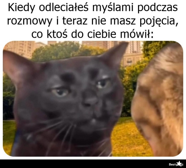 
    Możesz powtórzyć? 