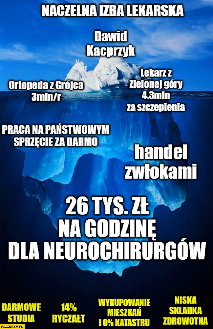 Góra lodowa naczelna izba lekarska zarobki lekarzy