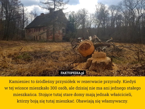 
    Kamieniec to śródleśny przysiółek w rezerwacie przyrody. Kiedyś
 w tej wiosce