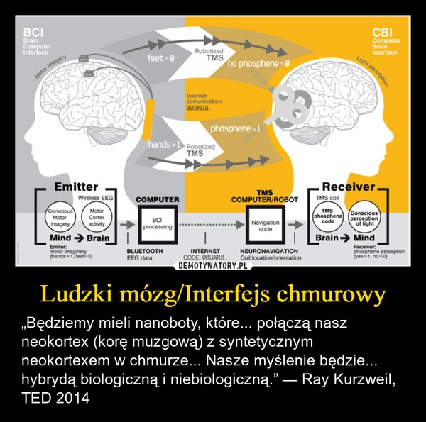 
    Ludzki mózg/Interfejs chmurowy