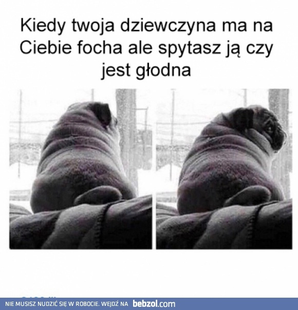 
    Kiedy twoja dziewczyna ma focha