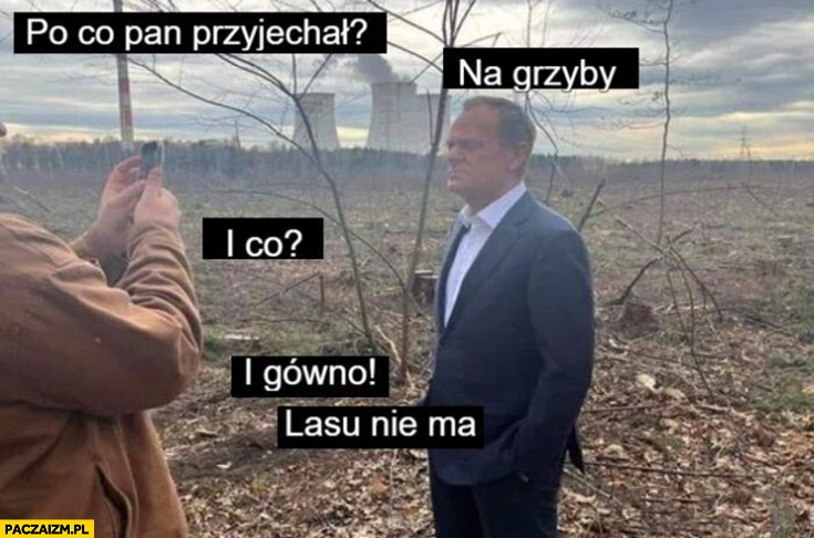 
    Tusk po co pan przyjechał na grzyby i co i gówno lasu nie ma