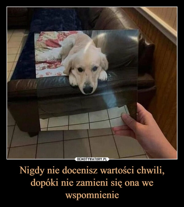 
    Nigdy nie docenisz wartości chwili, dopóki nie zamieni się ona we wspomnienie