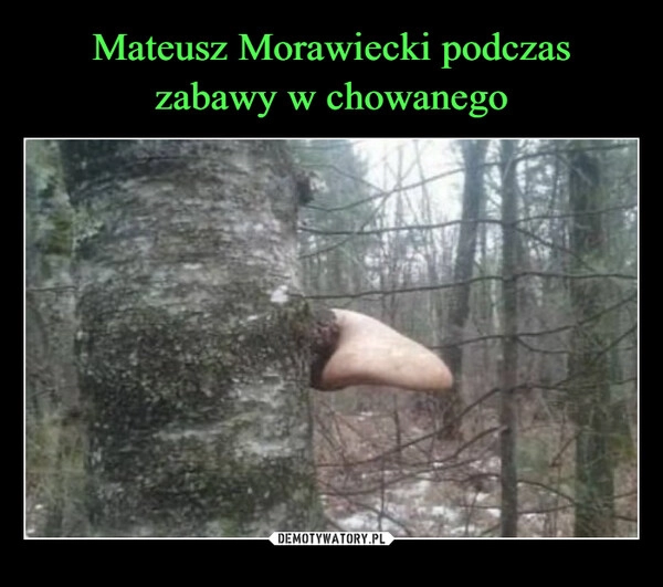 
    Mateusz Morawiecki podczas
zabawy w chowanego