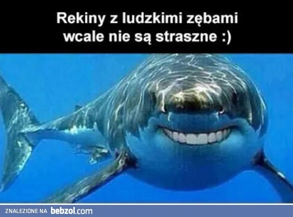 
    Rekin