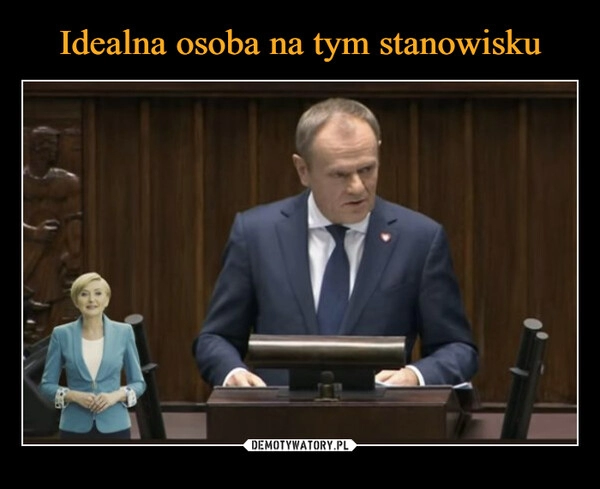 
    Idealna osoba na tym stanowisku