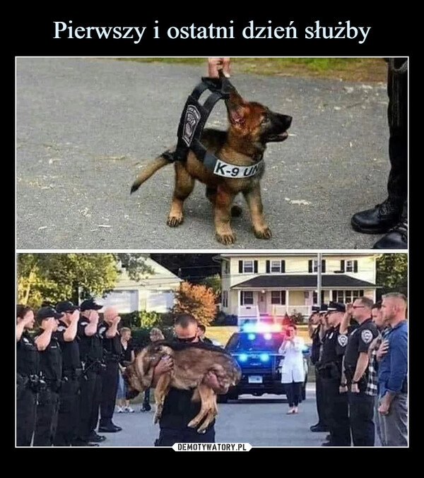 
    
Pierwszy i ostatni dzień służby 